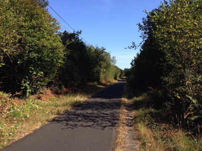 About half of the trail – the section that corresponds to Gresham – is through the woods